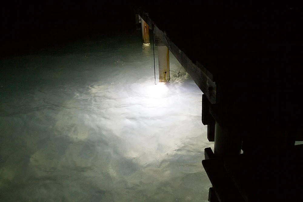 White Blob Underwater Dock Fishing Light 110v AC adapter and 3 prong plug