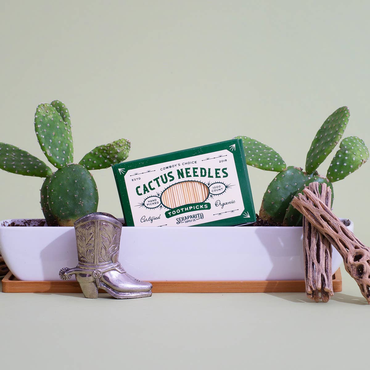 Cactus Needle Toothpicks Case