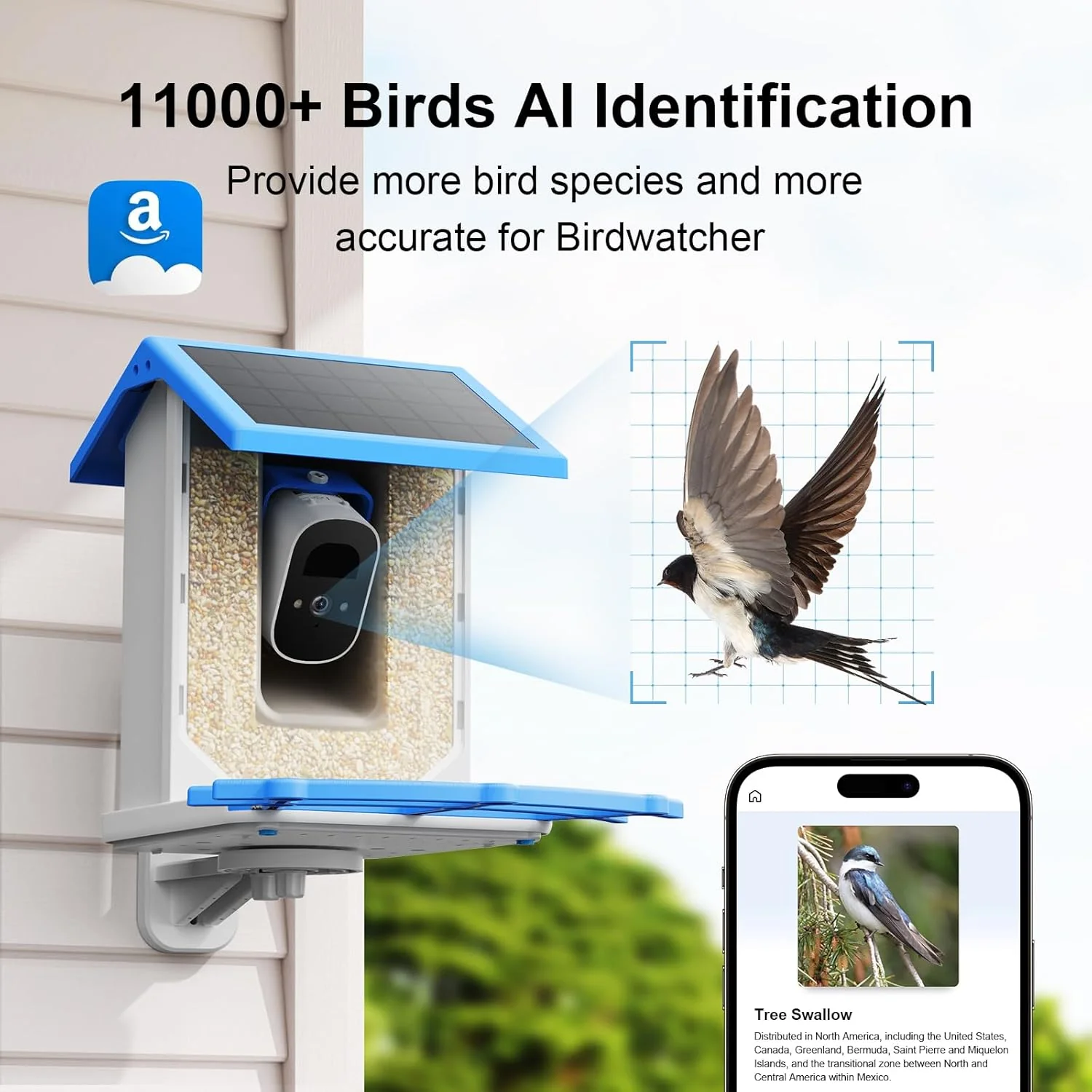 Smart Bird Feeder Camera - 4MP 2.5K Full HD, 64G TF Card Included, Solar Powered Wireless, Auto Capture Bird Video & Notify Detected Birds, AI Identify 11000+ Birds Feed Watching Camera