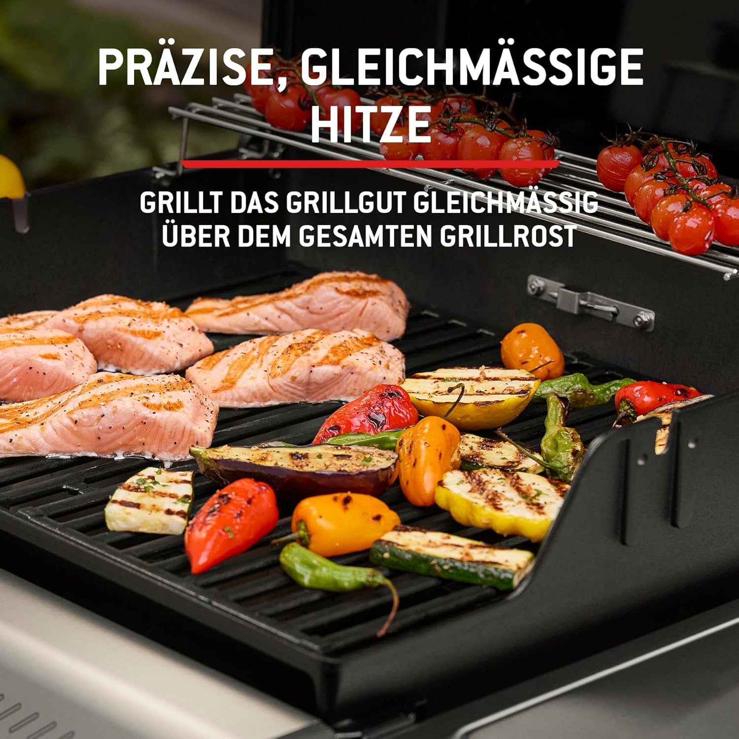 Weber Spirit E-210 Gasgrill, 2 Brenner, 51 x 46 cm Grillfläche, Warmhalterost, Deckelthermometer, 2 Räder - Schwarz/Silber (1500833)