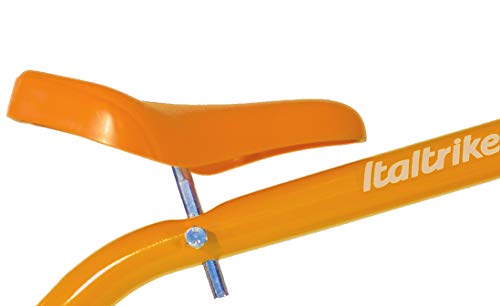 Italtrike Triciclo, 8218CLA992193 : Giochi e giocattoli