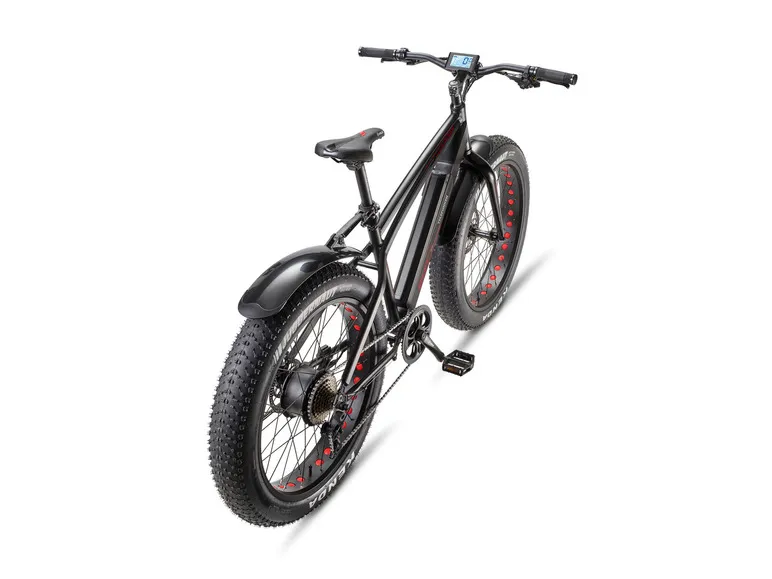 E-Bike Fat Bike Aufsteiger FM350 26 Zoll schwarz