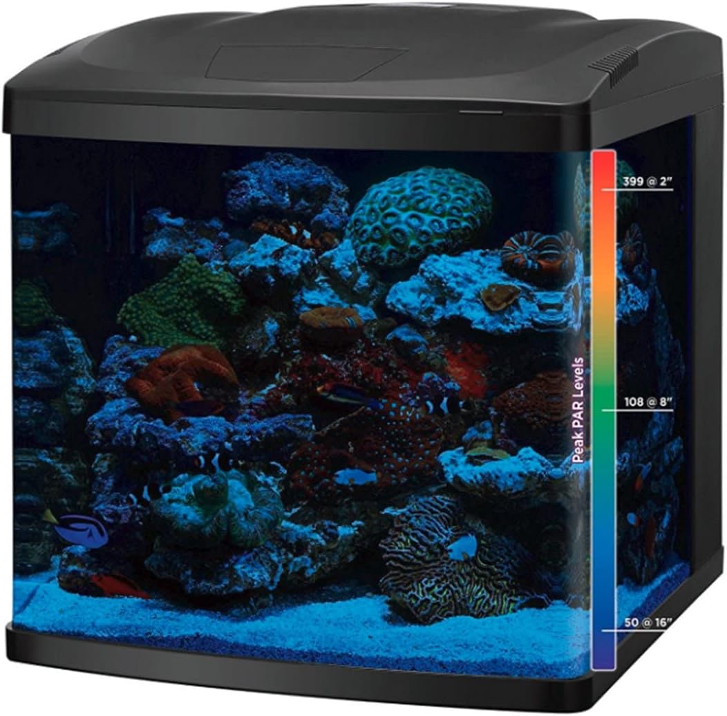 Kits de Acuarios LED y Combinados (Kit de Acuario de 32 Galones con Soporte)