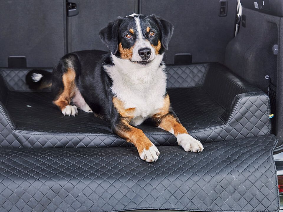 2025 Cama de coche para perro Vagn