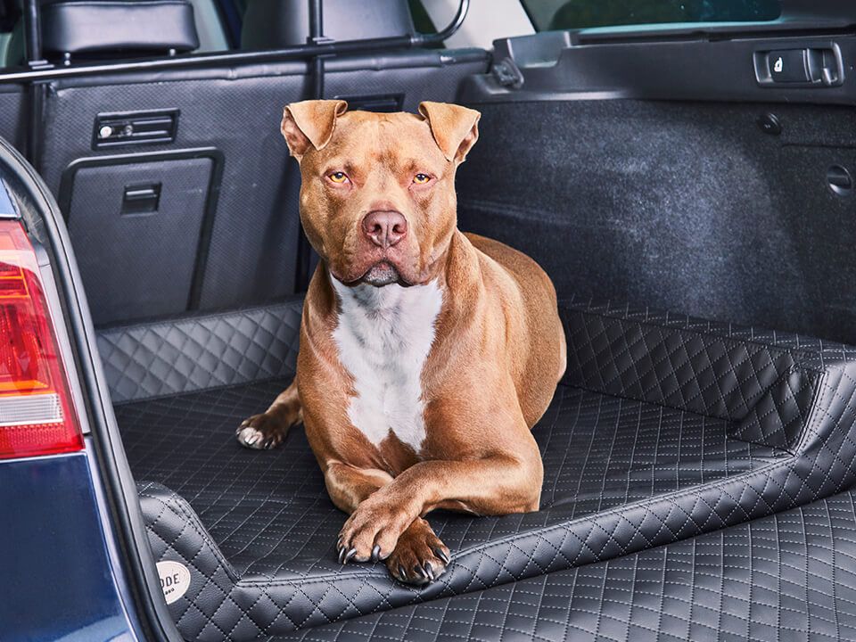 2025 Cama de coche para perro Vagn