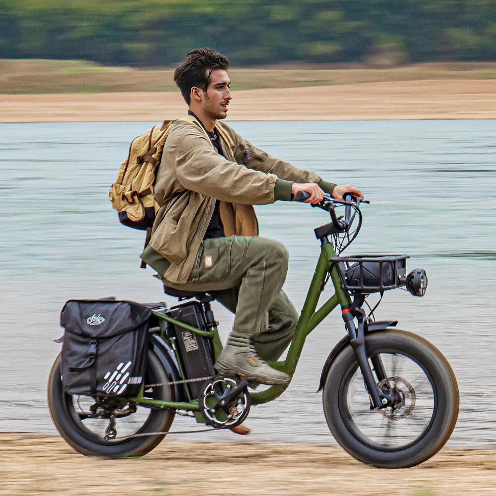 2025 Fiido T1 Pro Cargo Bicicleta eléctrica Fatbike utilitaria