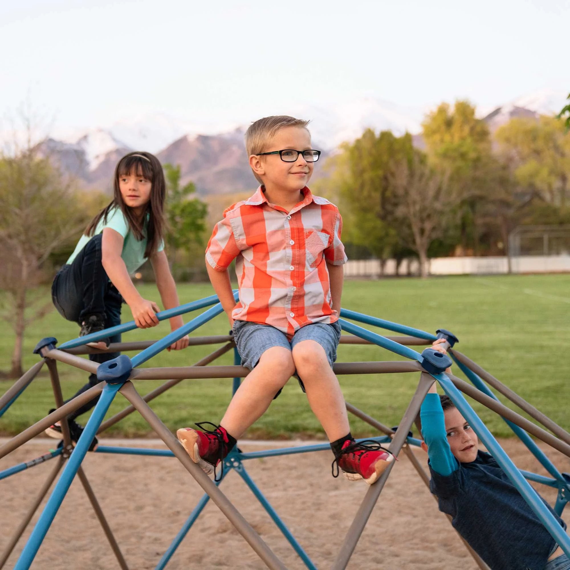2025 Estructura de Escalada Infantil Lifetime 4.5 ft. H x 9 ft. W, Azul y Marrón (90939)
