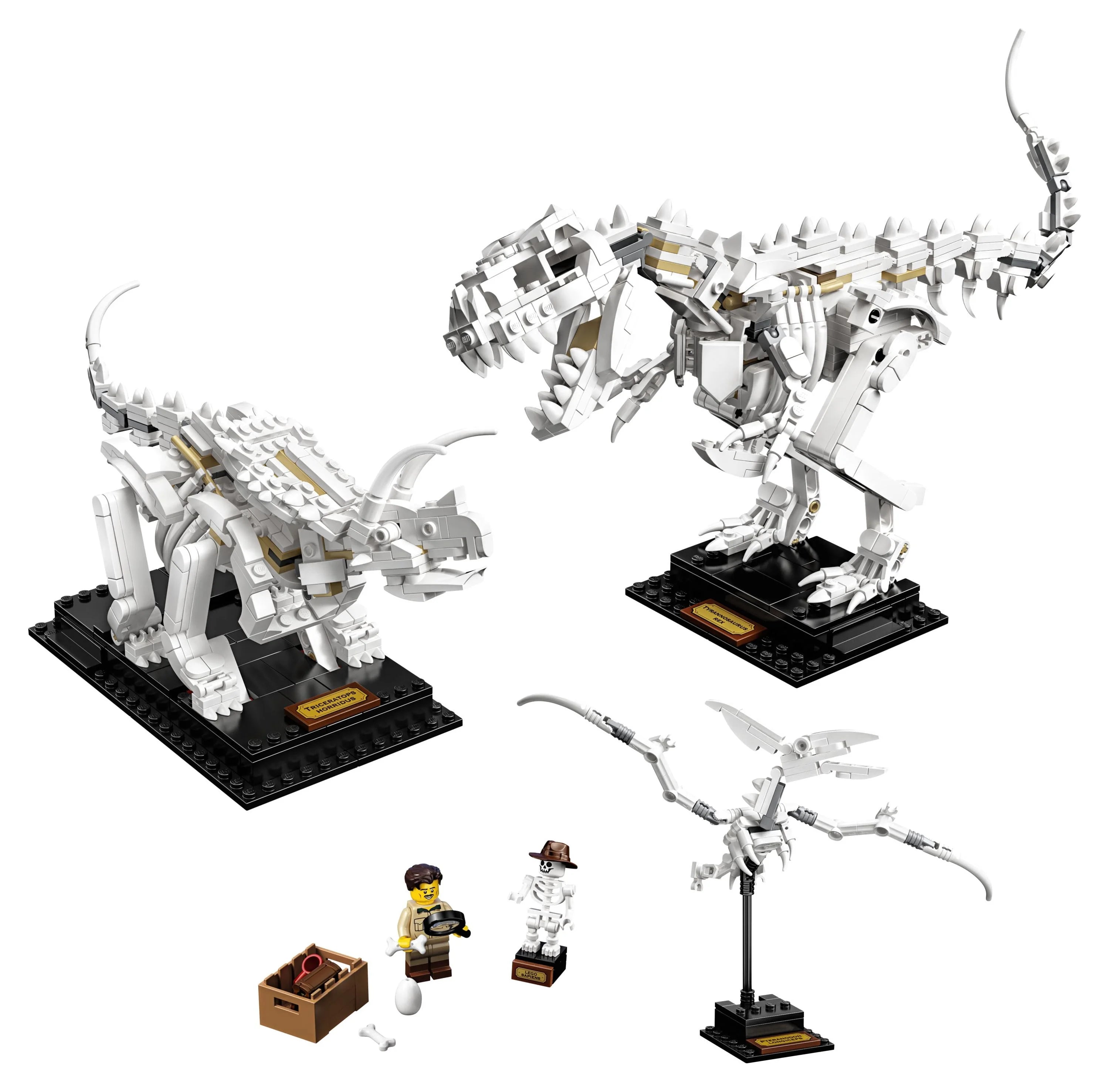 LEGO Ideas 21320 Fósiles de Dinosaurios – Set de Construcción (910 Piezas)