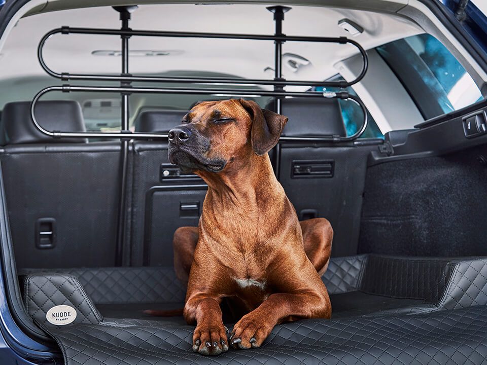 2025 Cama de coche para perro Vagn