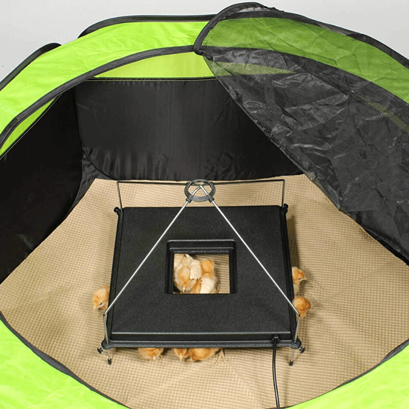 Placa Térmica Premium para Incubadora de Pollitos