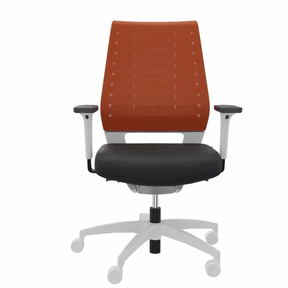 2025 Silla de Oficina Ergonómica Dauphin X-CODE XC 5380 – BLANCA – Respaldo de Color