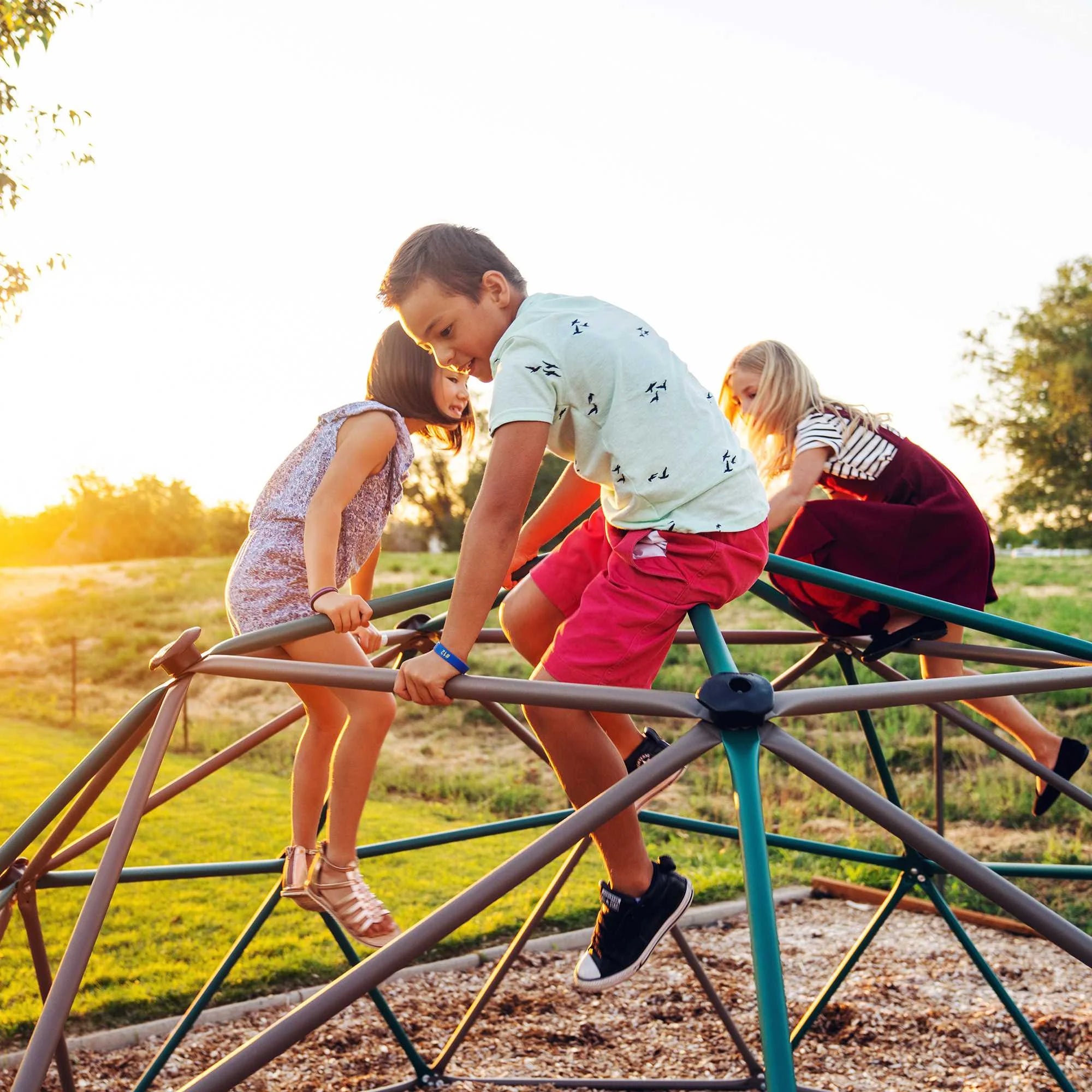 2025 Escalador Dome Geodésico para Niños Lifetime de 5 pies de alto y 10 pies de ancho con toldo, Verde y Marrón (90612)