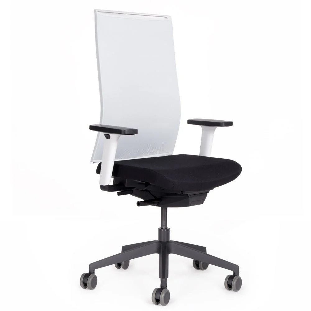2025 Silla de Oficina Ergonómica con Respaldo de Malla lento Agilis Matrix MT12 EDICIÓN ESPECIAL Pure Black