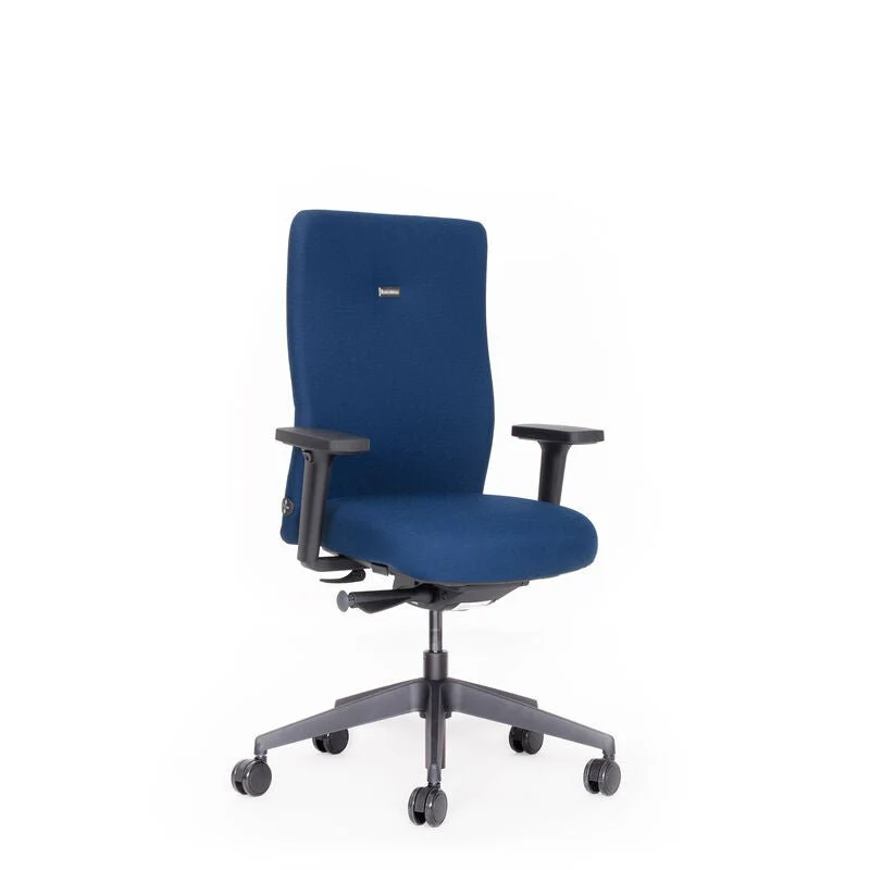 2025 Silla de Oficina Ergonómica lento Agilis AG10 | Gama de Colores | Tejido Bondai | Reposabrazos