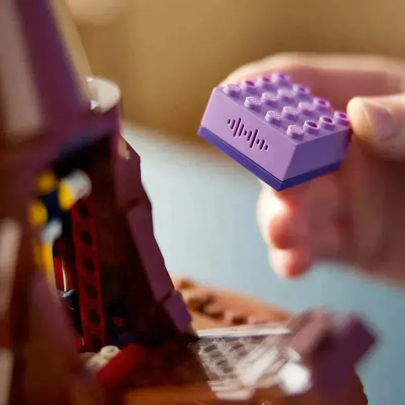 2025 LEGO Sombrero Seleccionador 76429 Harry Potter