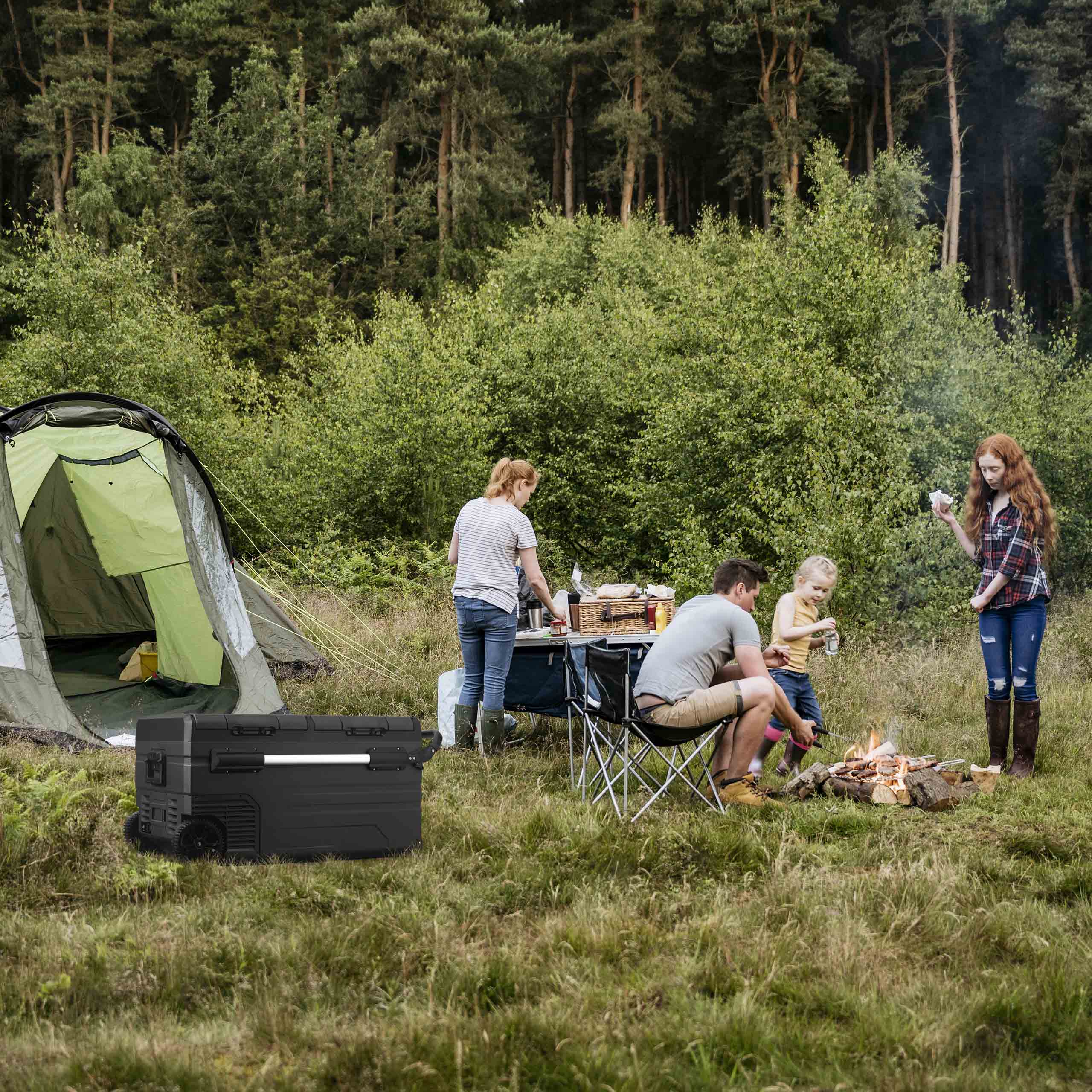 2025 Nevera eléctrica portátil de camping Newair®, 80 cuartos, 12 V/24 V CC