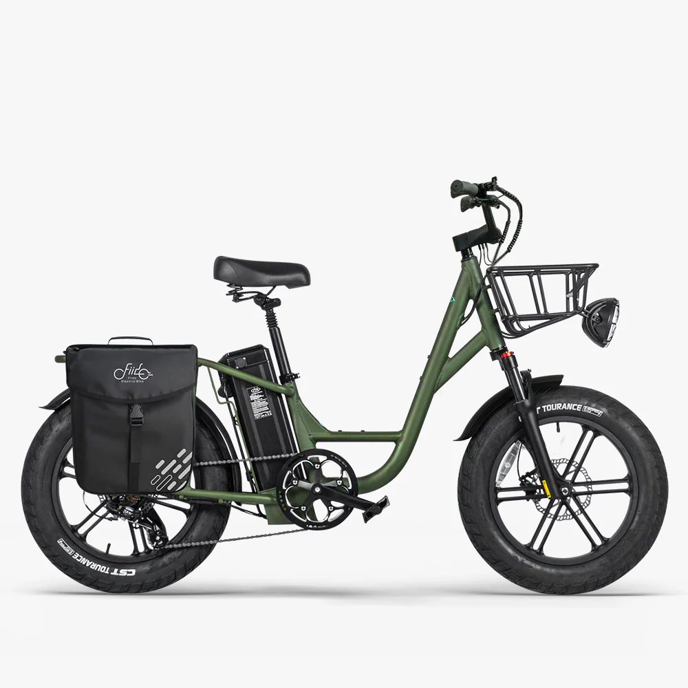2025 Fiido T1 Pro Cargo Bicicleta eléctrica Fatbike utilitaria
