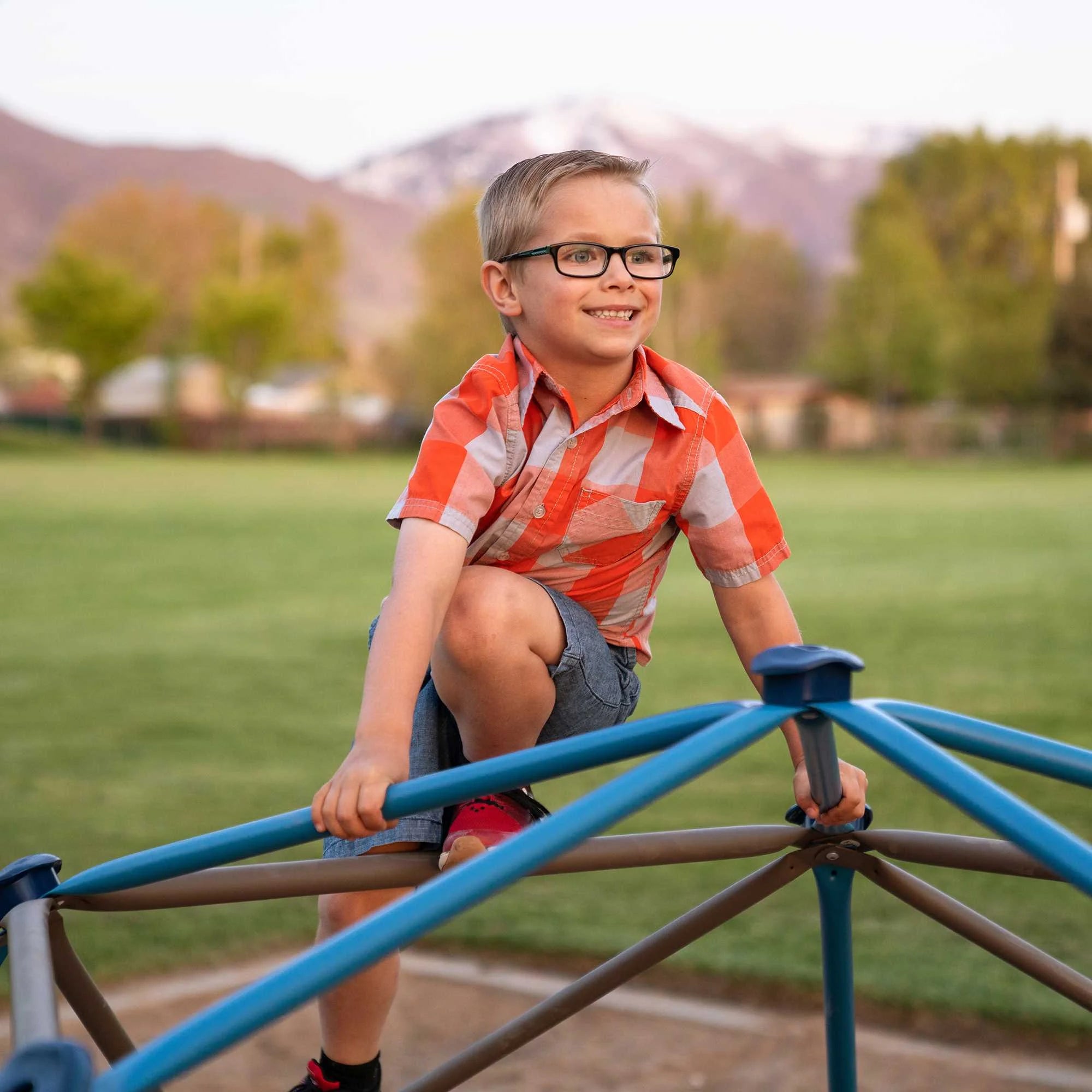 2025 Estructura de Escalada Infantil Lifetime 4.5 ft. H x 9 ft. W, Azul y Marrón (90939)