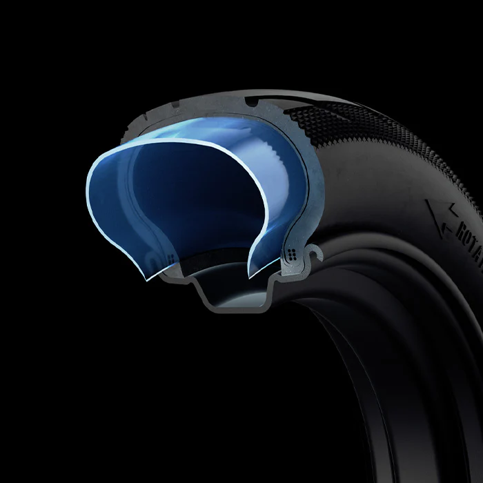 2025 Patinete Eléctrico Segway Ninebot E2 PRO