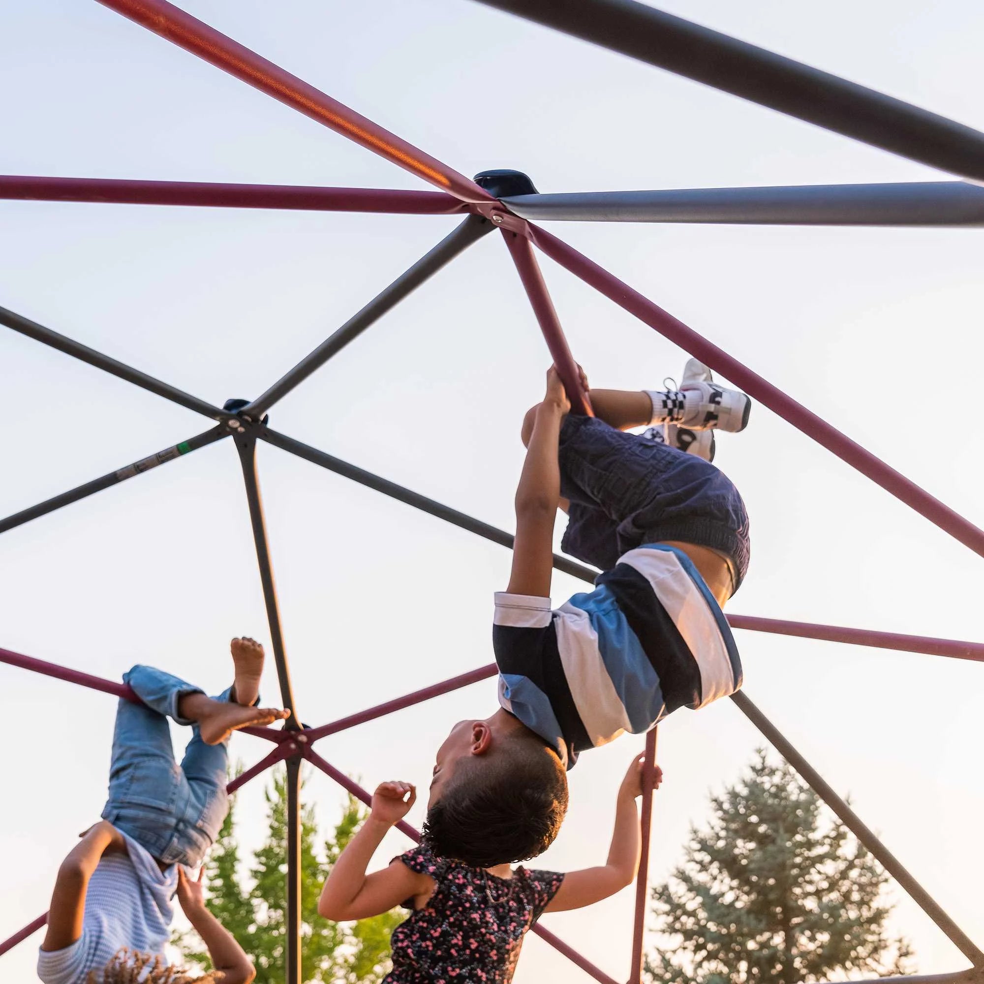 2025 Estructura de Escalada Dome para Niños de Lifetime – 5.5 ft de Alto x 11 ft de Ancho, Berry y Marrón (91088)
