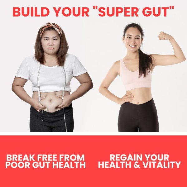 Máquina para hacer yogur probiótico Ultimate con dos recipientes de 1 cuarto para grandes cantidades – Produce trillones de probióticos vivos con control ajustable de temperatura y tiempo – Mejor yogurtera para yogur griego – GARANTÍA DE POR VIDA