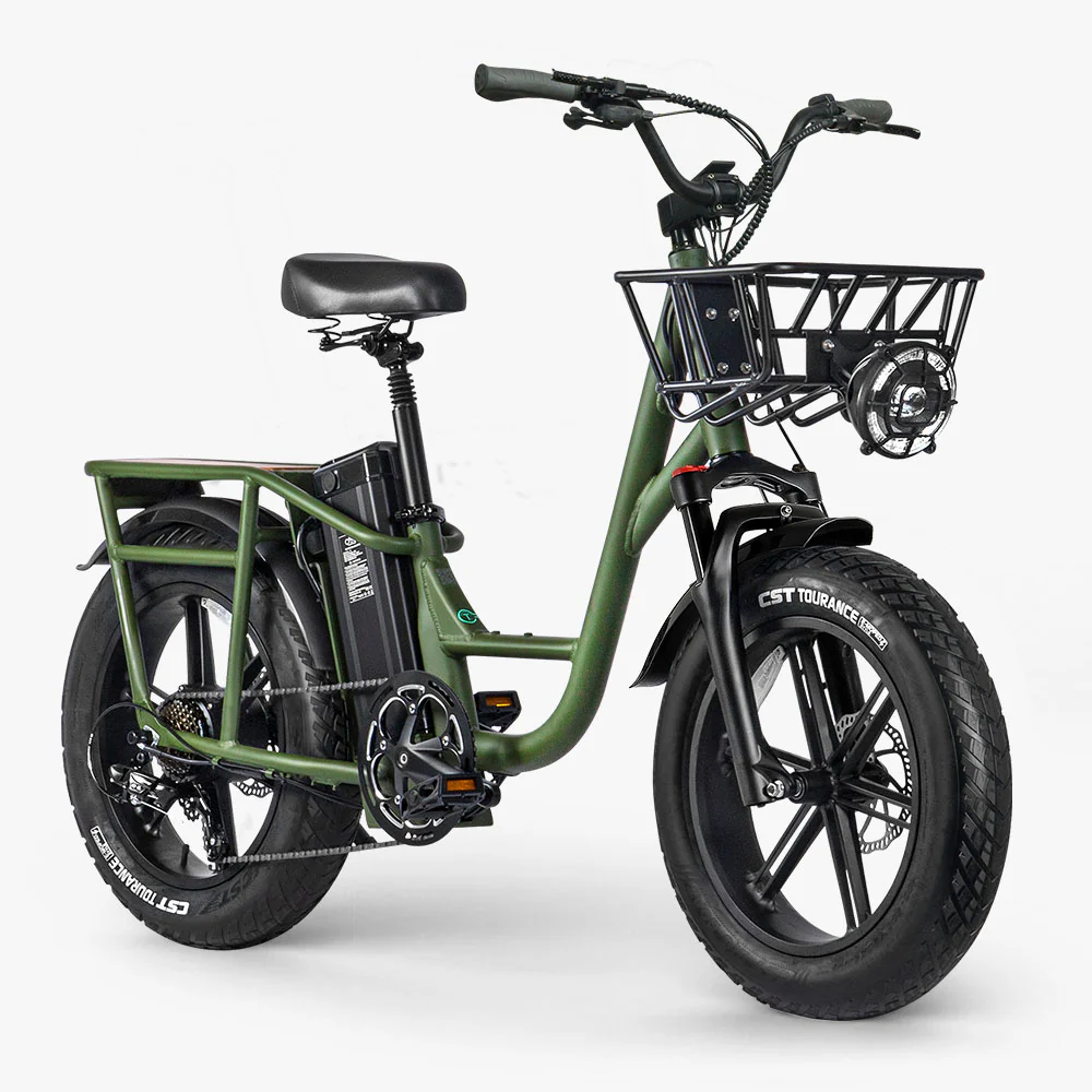 2025 Fiido T1 Pro Cargo Bicicleta eléctrica Fatbike utilitaria