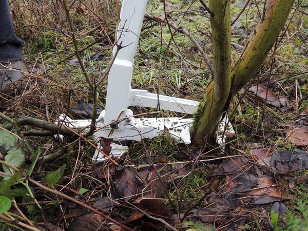 Pullerbear Extractor de Árboles y Extractor de Malezas