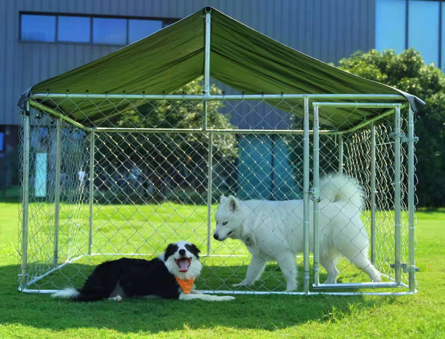 2025 Kennel Exterior para Perros Petony – Jaula, Cercado y Parque para Perros con Malla Galvanizada de Alta Resistencia y Techo Resistente al Agua y Rayos UV