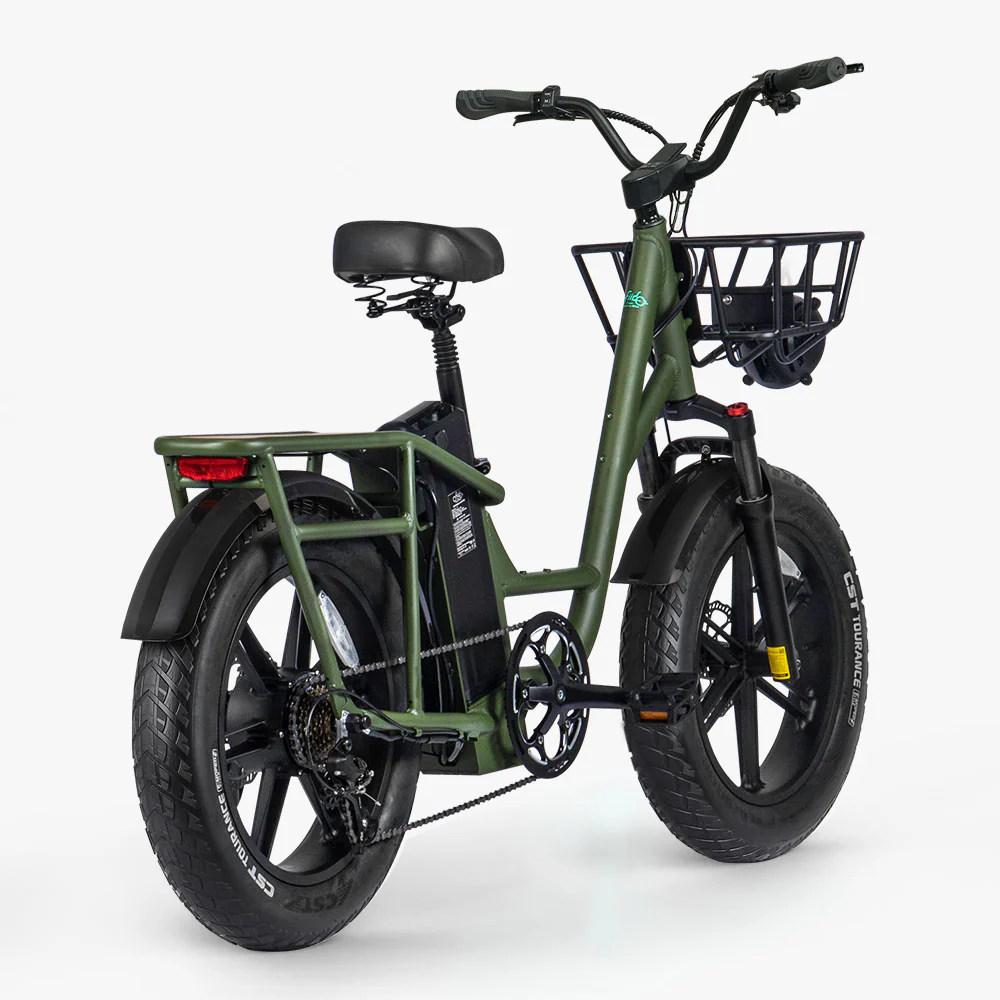 2025 Fiido T1 Pro Cargo Bicicleta eléctrica Fatbike utilitaria
