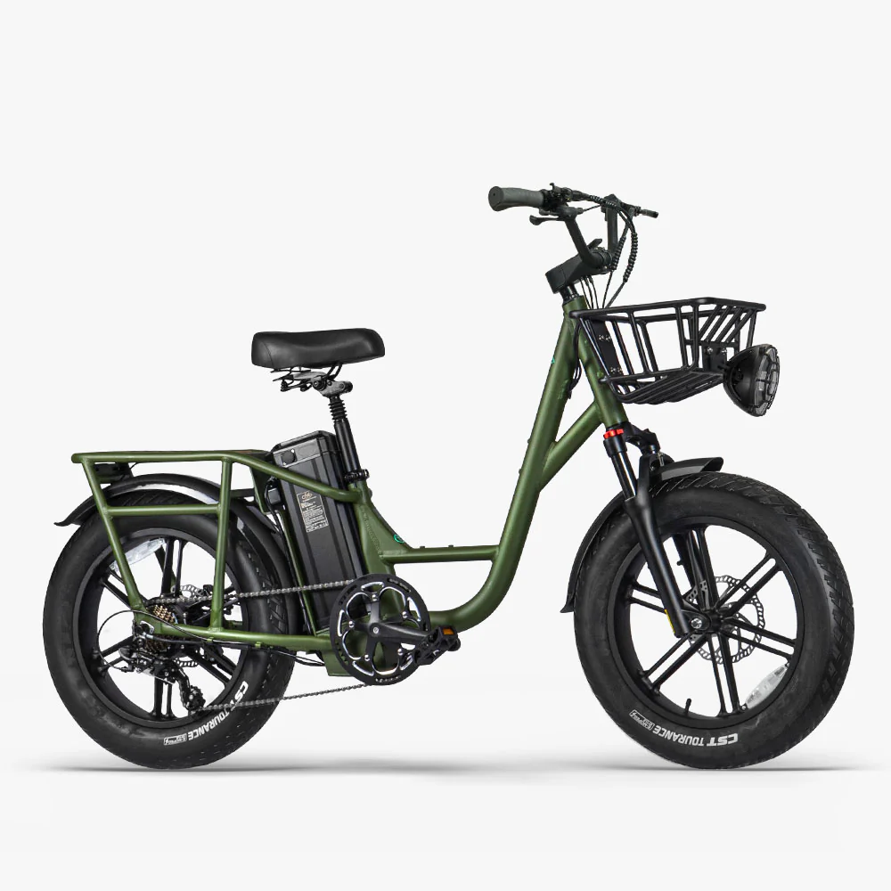 2025 Fiido T1 Pro Cargo Bicicleta eléctrica Fatbike utilitaria