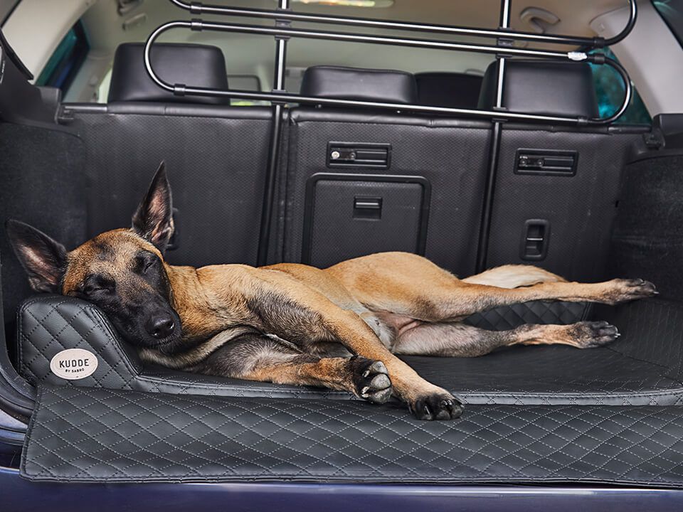 2025 Cama de coche para perro Vagn