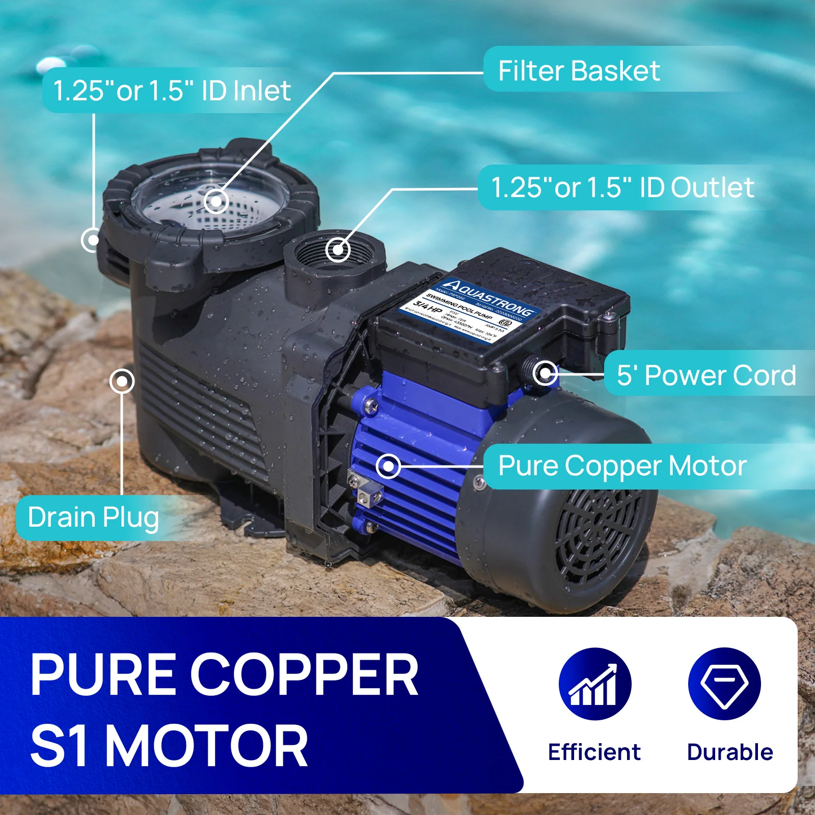 2025 PSP066-LV Bomba de piscina de 3/4 HP de velocidad única