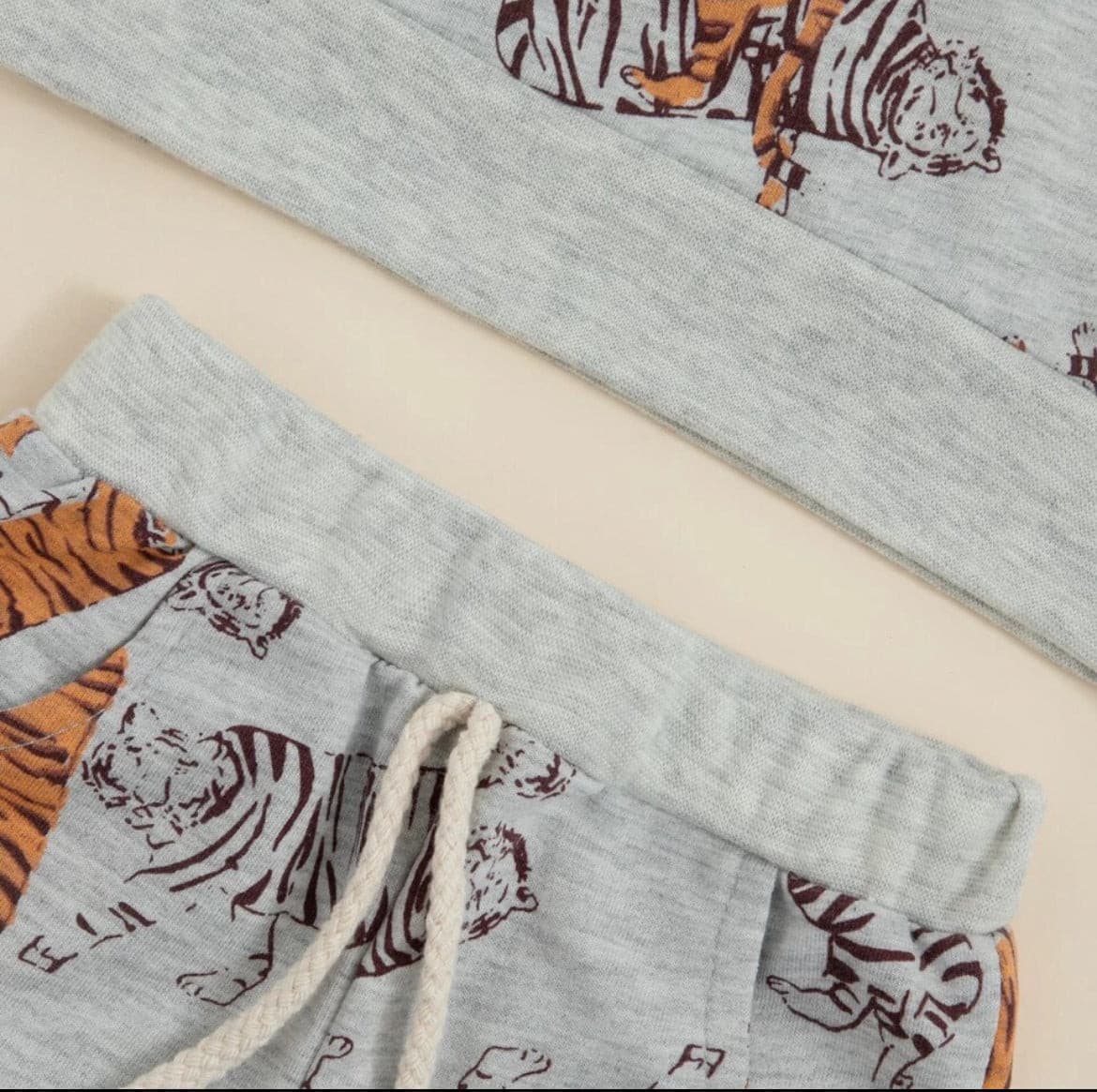 Boys Tiger Hoodie Set