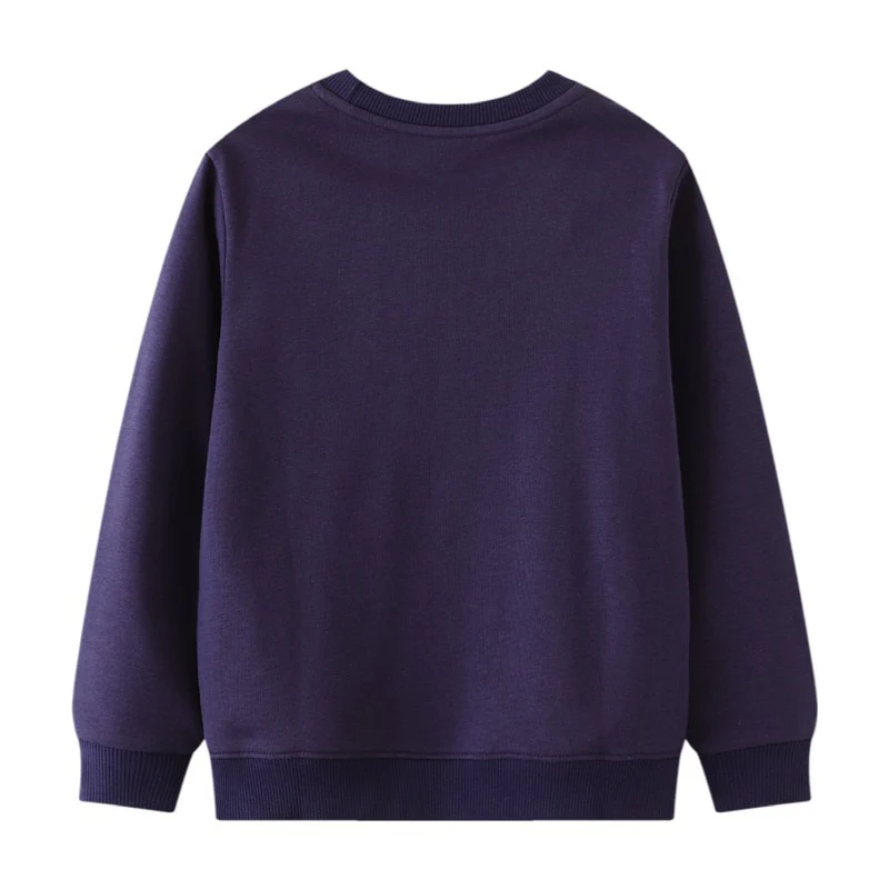 Dino Lit - Glow In The Dark Dinosaur Crew Neck Sweater- Boys Dinosaur Jumper