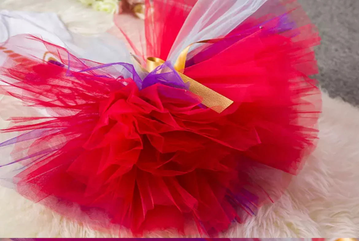 Red Multi Glitter Unicorn Dress First Birthday Tutu Dress with Crown