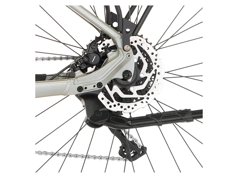 E-Bike ATB »Terra 4.0i«, 29 Zoll