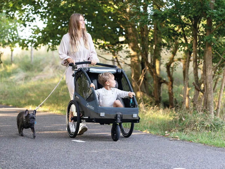 Fahrradanhänger »Sportrex 1 Limited Edition«, Ocean Blue