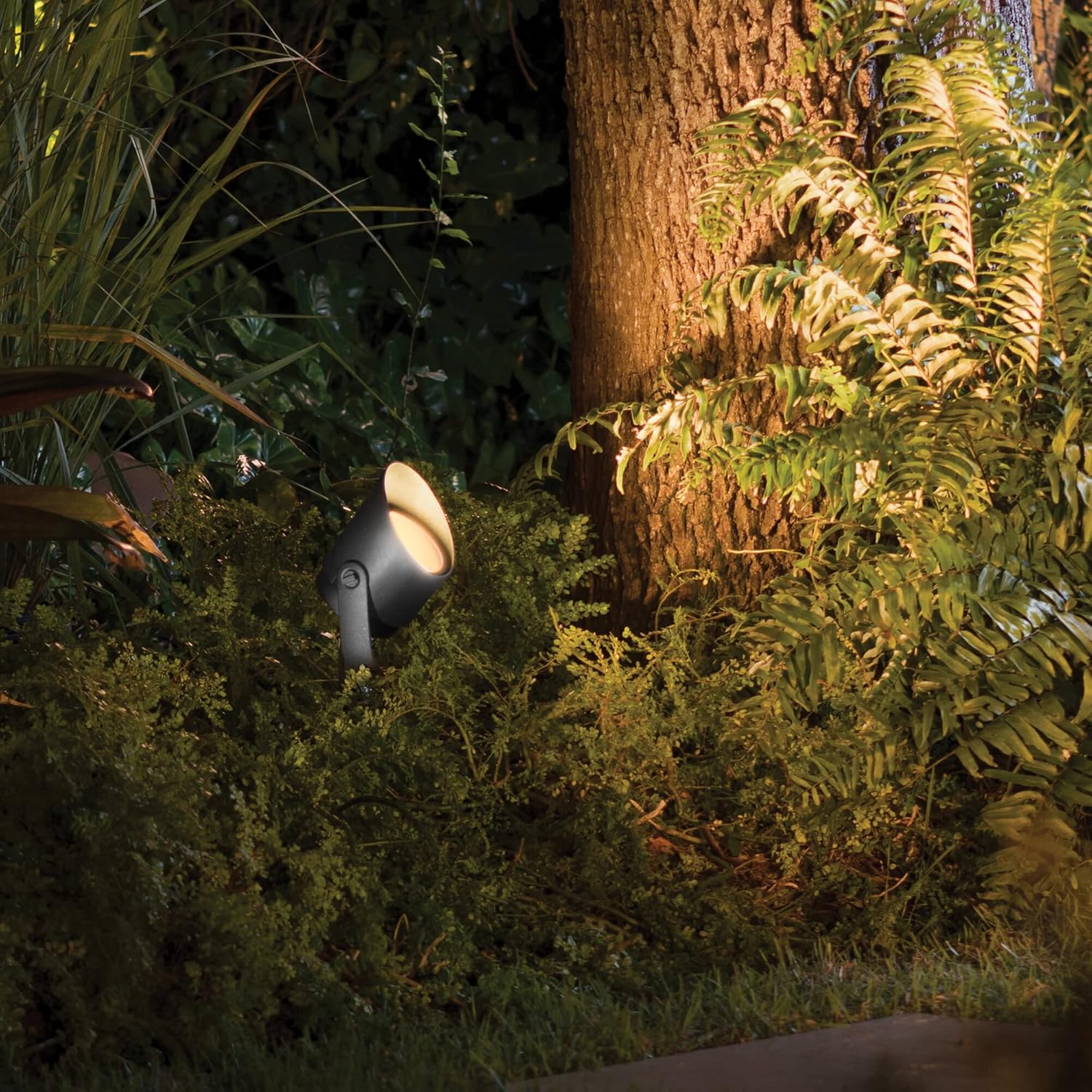 Philips Hue White & Color Ambiance Lily Gartenspot [nur Erweiterung], erfordert Hue Bridge + Base Kit (separat erhältlich), funktioniert mit Alexa, Google Assistant und Apple Homekit