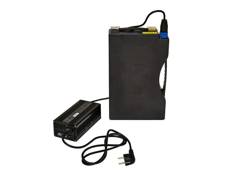 GreenStreet Elektro-Roller »SEED«, mit Lithium-Ionen-Akku, Eco-Modus, 50 km Reichweite