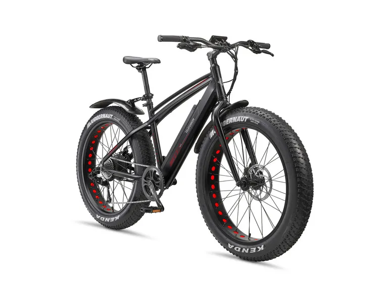 E-Bike Fat Bike Aufsteiger FM350 26 Zoll schwarz