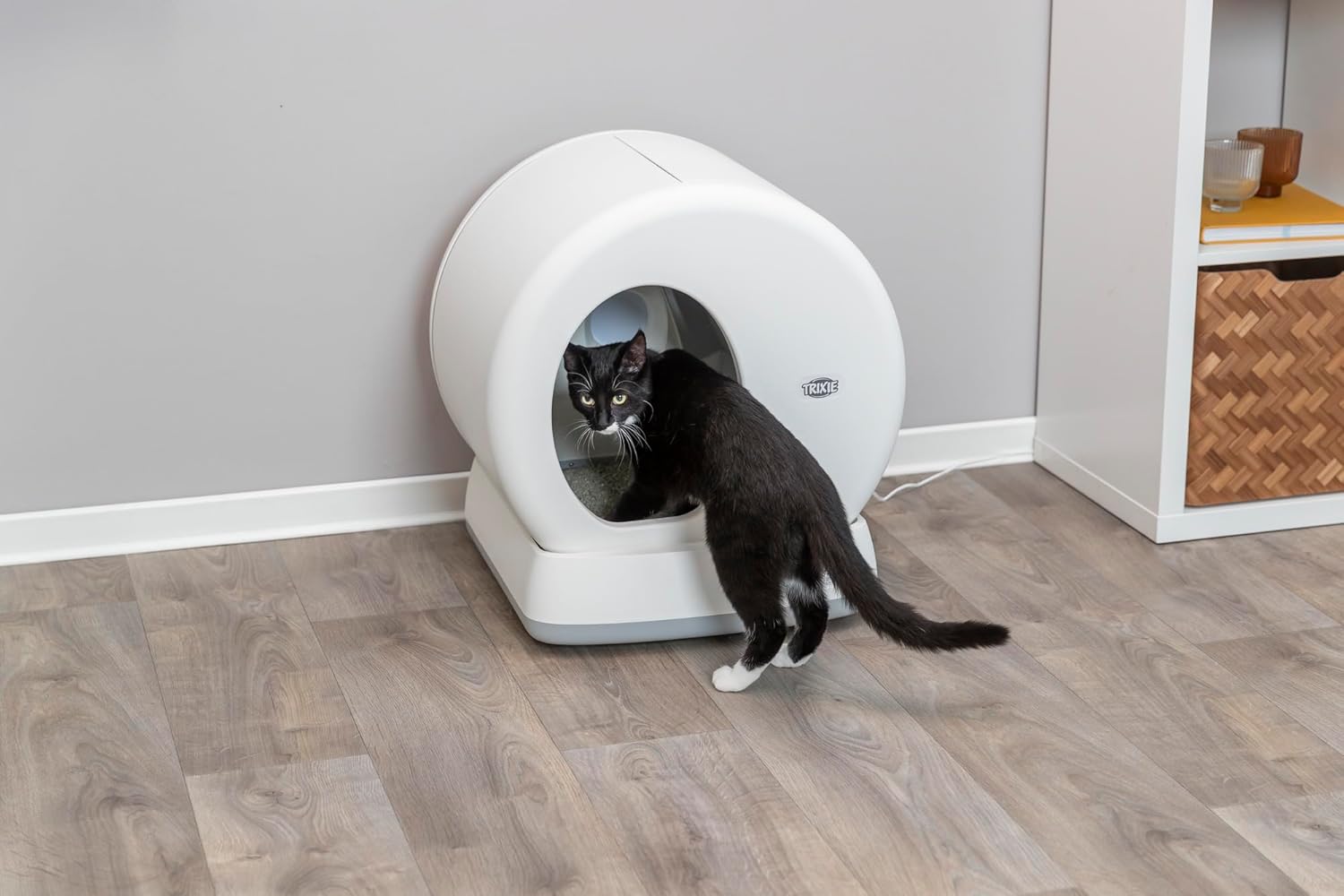 TRIXIE selbstreinigende Katzentoilette 53 x 55,5 x 52 cm – für anhaltende Sauberkeit – praktisches, elektrisches Katzenklo für Katzen ab 1,5 kg / 4 Monaten – leise & sicher - 40040