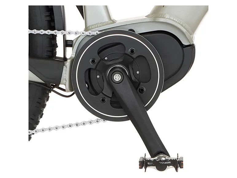 E-Bike ATB »Terra 4.0i«, 29 Zoll