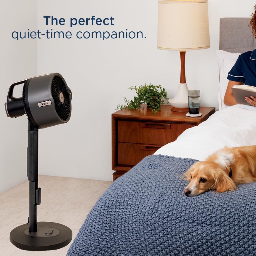 Shark FlexBreeze Pro Nebelventilator – Indoor & Outdoor, Integriertes Nebel, Sockel auf Tischplatte, kabelgebunden oder kabellos, bis zu 24 Stunden Akku, oszillierend, Anthrazit, FA302 (Version 2025)