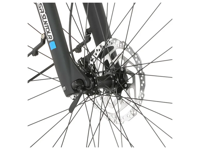 E-Bike ATB »Terra 4.0i«, 29 Zoll