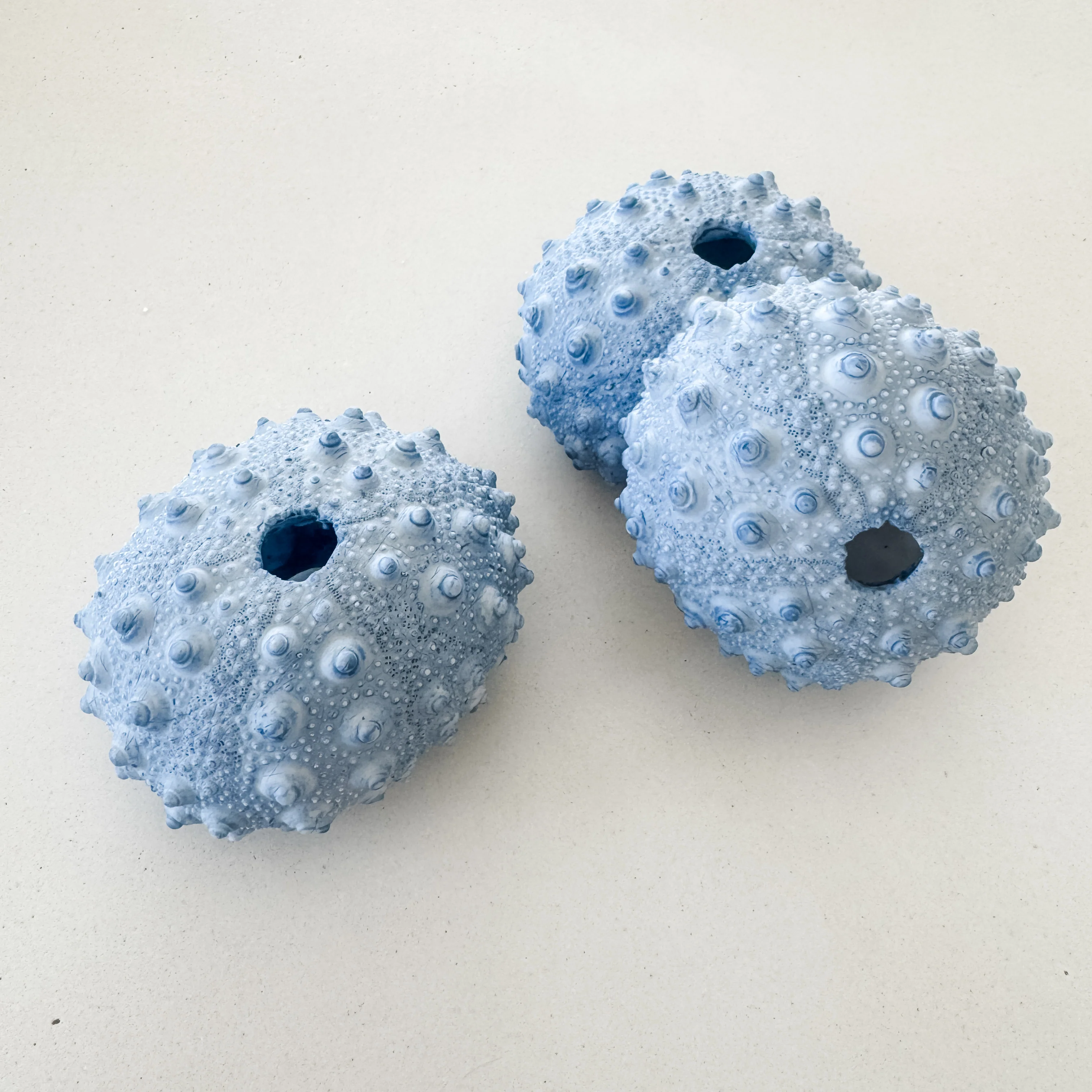 Blue Spiky Urchin Coral Resin
