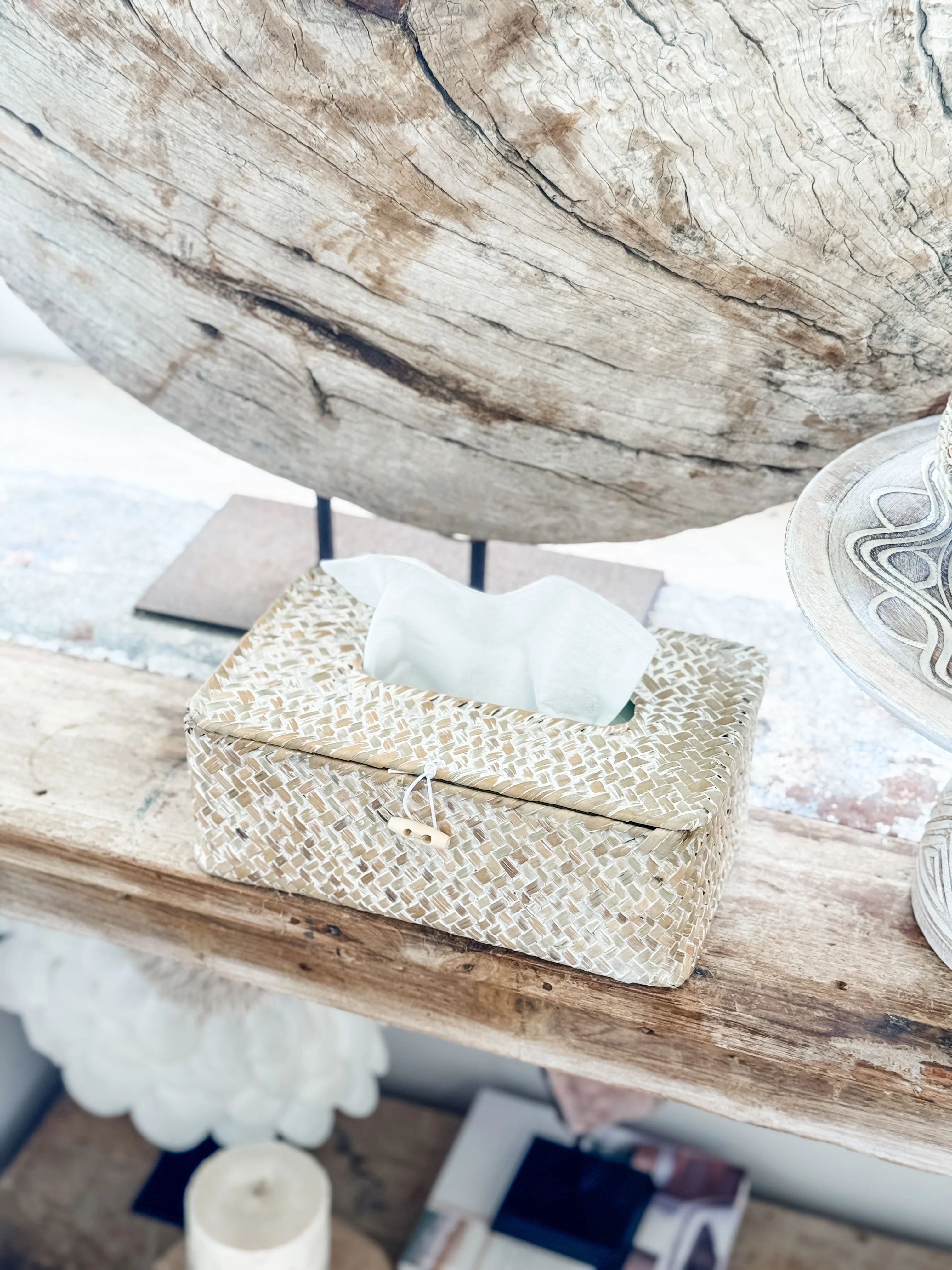 Coastal Seagrass Tissue Box Cover