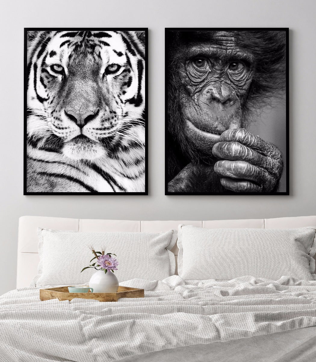 Siberian Tiger Portrait juliste