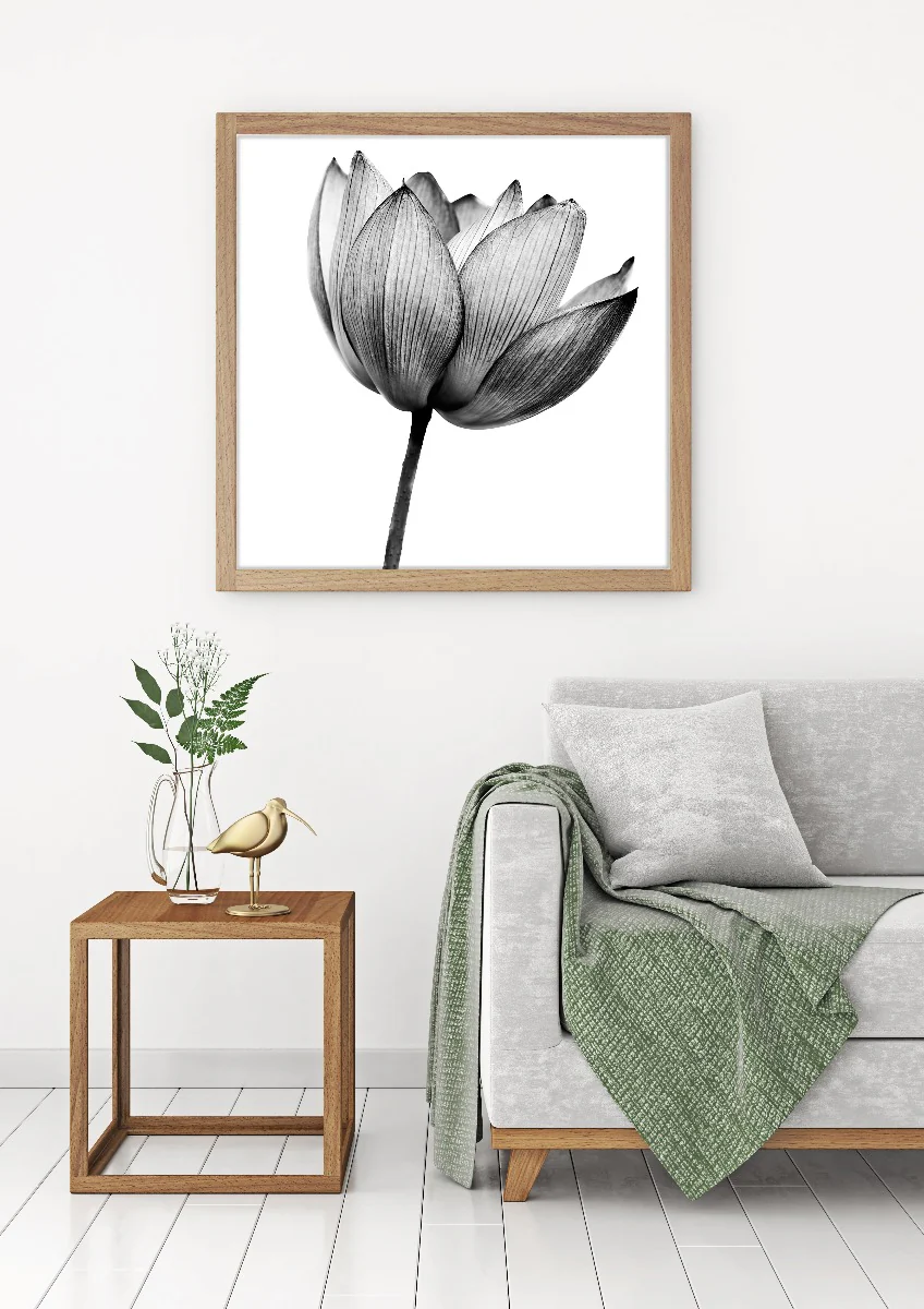Lotus Black & White juliste