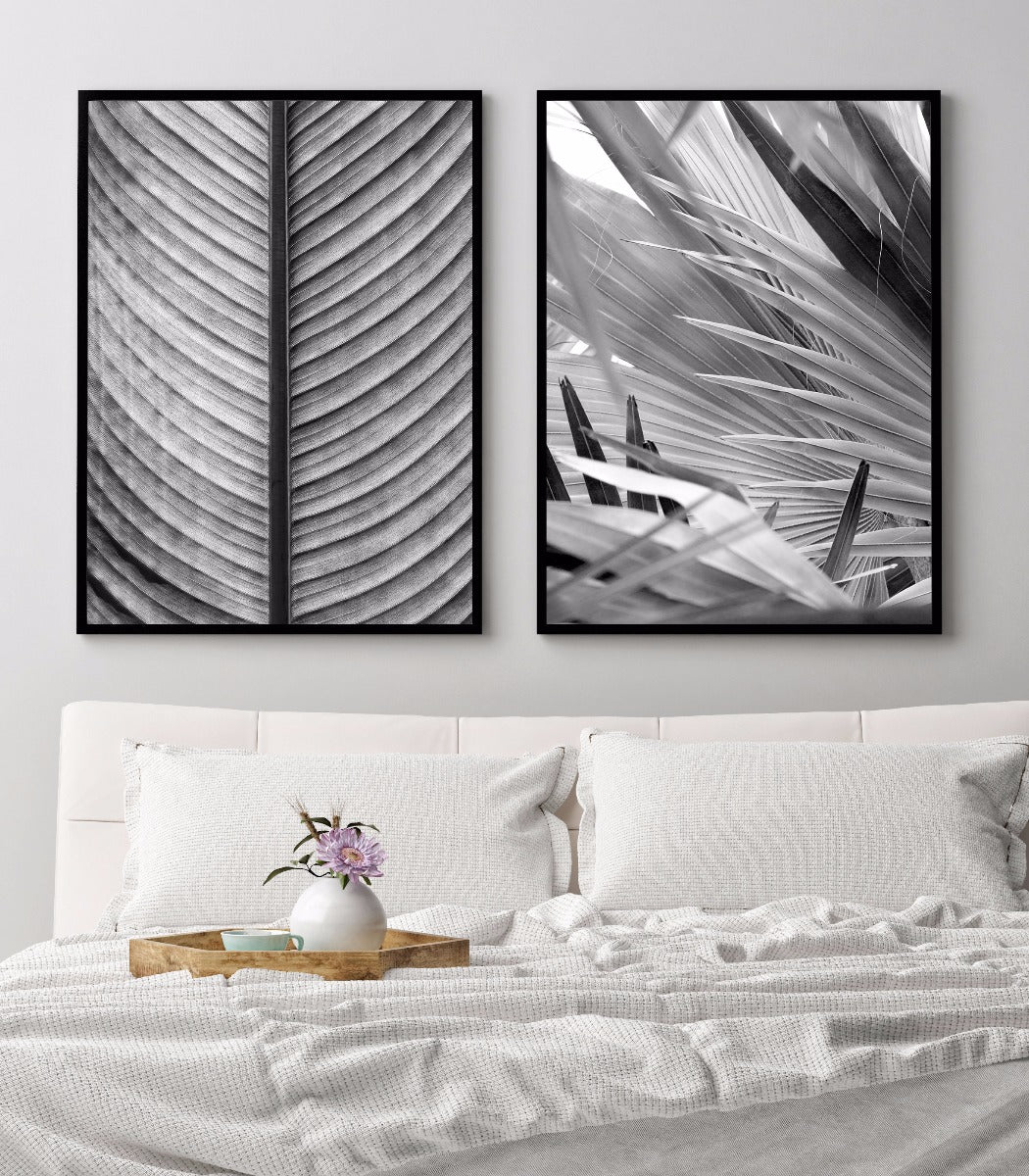 Black & White Palm Leaf juliste