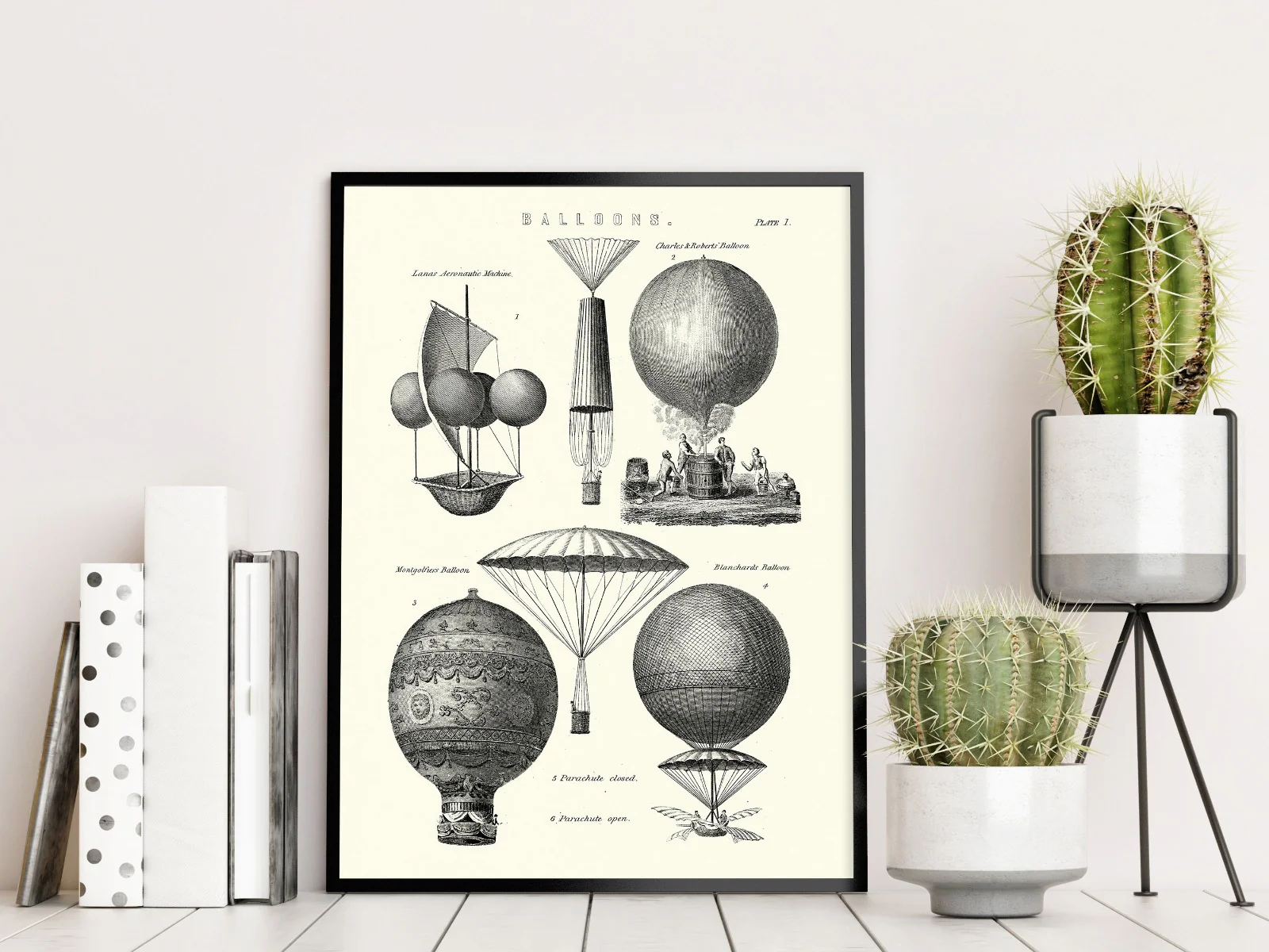 Vintage Hot Air Balloon Types juliste